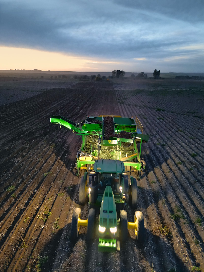 Drone view of a tractor pulling the Dirty Digger through a potato field just after sundown, work lights on